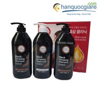 Dầu gội hắc sâm kèm xả Hàn Quốc 3 chai 500ml – Black Ginseng Shampoo Treatment