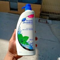 Dầu gội Head & Shoulders bạc hà 850ml