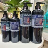 Dầu gội hoặc dầu xả Hischer argan oil 500ml - 1000ml MS1