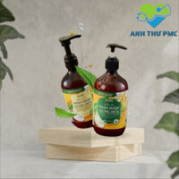 Dầu gội hữu cơ sạch gàu gừng dừa Cocayhoala làm mềm mượt tóc, giảm rụng tóc, phục hồi hư tổn 440g -ATPMC