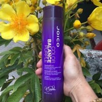 Dầu gội Joico cân bằng bổ sung sắc tố tím và khử ánh vàng cho tóc nhuộm tone lạnh balance purple 300ml