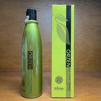 Dầu gội kích thích mọc tóc Orzen Loss Control Shampoo Obsidian 320ml T