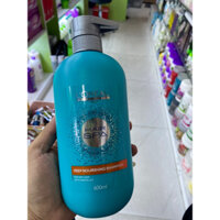 Dầu gội L’ORÉAL 600ml suôn mượt