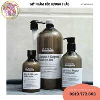Dầu Gội L'Oréal Professionnel Absolut Repair Molecular Siêu Phục Hồi Cấp Phân Tử 300ml/500ml/1500ml