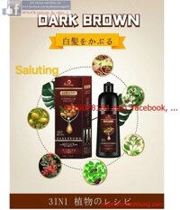 Dầu Gội Nâu Phủ bạc SALUTING KERATIN 3IN1 Nhật Bản 500ml