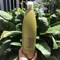 Dầu gội ngăn gàu và phục hồi (ngăn gầu và làm sạch da) Anti - Dandruff Rolland Una 1000ml