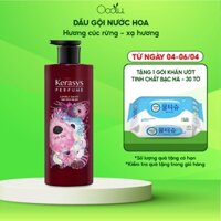 Dầu gội nước hoa Kerasys Lovely Daisy cao cấp Hàn Quốc hương cúc rừng và xạ hương giúp làm sạch gàu