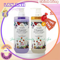 Dầu gội nước hoa SinHair Saryyam hương Sen Bách Diệp Phục hồi tóc khô sơ hư tổn Hàng chính hãng 500ml