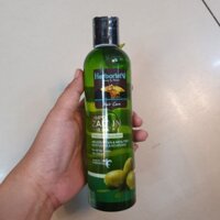 Dầu Gội Olive Herborist 250ml