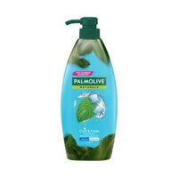 Dầu Gội PALMOLIVE Cool & Fresh                                        600ml