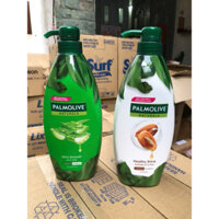 Dầu gội Palmolive kèm xả 2-trong-1 chiết xuất thiên nhiên 600ML