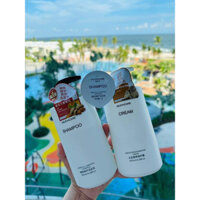 Dầu gội Perfume với 3 tầng hương siêu thơm Muchcare
