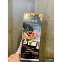 DẦU GỘI PHỦ BẠC ĐEN TÓC