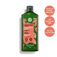 Dầu Gội Phục Hồi Tóc Hư Tổn Repair Hair Care Restoring Shampoo Sulfate Free 300ML