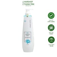 Dầu gội Prosee phục hồi tóc hư tổn Leo Shampoo 800ml - chính hãng, phục hồi tóc khô xơ, giúp tóc mềm mượt | THANH TÂM