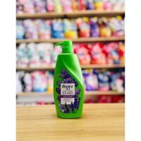 Dầu gội Rejoice hoa Lavender Hàn Quốc - Dưỡng tóc 48 giờ suôn mượt 630ml [ Rejoice Korean Lavender shampoo]