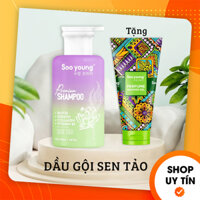 Dầu Gội Soo Young Sen Tảo Premium Shampoo - Dầu Gội Đầu Giảm Gàu Mượt Tóc Soo Young [Chính Hãng]