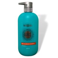 Dầu gội suôn mượt cho tóc khô Loreal Hair Spa Deep Nourishing shampoo 600ml