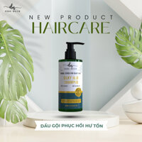 Dầu gội suôn mượt, giảm rụng Herbal Hair Dongnhien