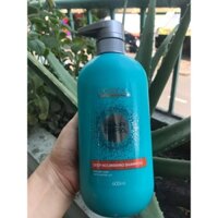 Dầu gội suôn mượt Loreal Hair Spa Deep nourishing 600ML