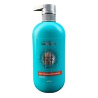 Dầu gội suôn mượt Professional Hair Spa Deep Nourishing L'oreal Shampoo 600ml
