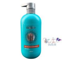 Dầu gội suôn mượt Professional Hair Spa Deep Nourishing L'oreal Shampoo 600ml [ New ]