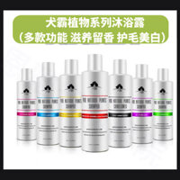 Dầu gội tắm cho chó, dầu gội cho thú cưng, dung dịch tắm cho mèo, dầu dưỡng tóc cho chó Golden Retriever, Samoyed, làm mượt tóc trắng