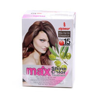 Dầu Gội Tạo Màu Tóc Solbol MAX Shine Color