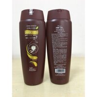 dầu gội thái dương 7 200ml