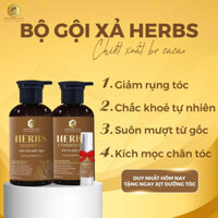 DẦU GỘI THẢO DƯỢC BƠ CACAO HERBS