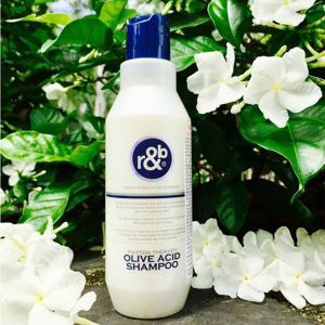 Dầu gội thảo dược hương cà phê R&B Olive (Coffee) 600ml