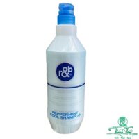 Dầu Gội Thảo Dược Mát Lạnh Bạc Hà giảm gàu R&B Peppermint Cool Shampoo 1000ml [ NL ]