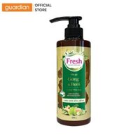 Dầu Gội Thảo Mộc Gừng Bưởi Dưỡng Sinh Chắc Khoẻ Bồng Bềnh Fresh 480G