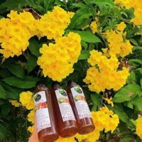 Dầu gội thảo mộc