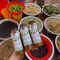 Dầu Gội Thảo Mộc