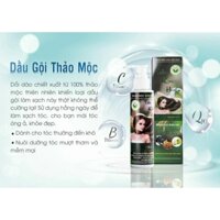 dầu gội thảo mộc
