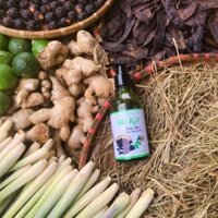 DẦU GỘI THẢO MỘC