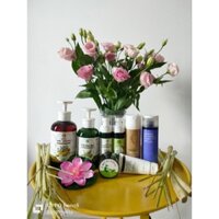 Dầu gội thảo mộc