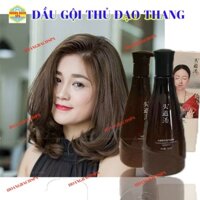 DẦU GỘI THỦ ĐẠO THANG CHÍNH HÃNG