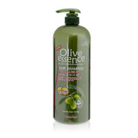 Dầu gội thư giãn từ Olive -ORGANIA Seed &amp; Farm Olive Essence Hair Shampoo 1500ml