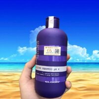 Dầu gội tím Elgon Silver Colorcare Shampoo 300ml khử vàng