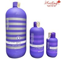 Dầu gội tím khử vàng dành cho tóc tẩy, bạch kim Elgon Colorcare Silver Shampoo 1000ml ( New 2022 ) [ MK ]