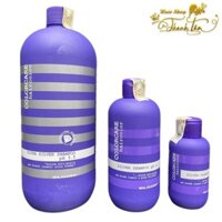 Dầu gội tím khử vàng dành cho tóc tẩy, bạch kim Elgon Colorcare Silver Shampoo 1000ml ( New 2025 ) [ TT ]