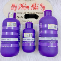 Dầu Gội Tím Khử Vàng ELGON SILVER SHAMPOO 100ml