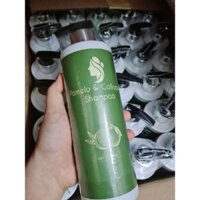 Dầu Gội Tinh Chất Bưởi Collagen