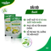 Dầu Gội Tinh Dầu Bưởi Dây 12 Gói – Lucky Star