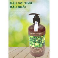 Dầu gội tinh dầu bưởi