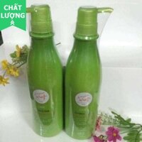 Dầu gội trà xanh dưỡng tóc