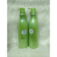 Dầu gội trà xanh dưỡng tóc (HÀNG LOẠI 1) (GIÁ TẠI KHO)