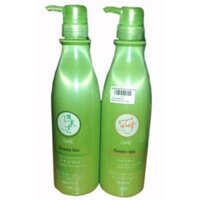 DẦU GỘI TRÀ XANH GREENTEA - QinYe